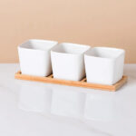SKU White Ceramic Succulent Pots 32 150x150