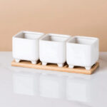 SKU White Ceramic Succulent Pots 33 150x150