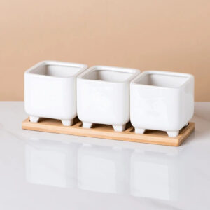 Set 3 Footed Square Pots w/ Tray 2.3in