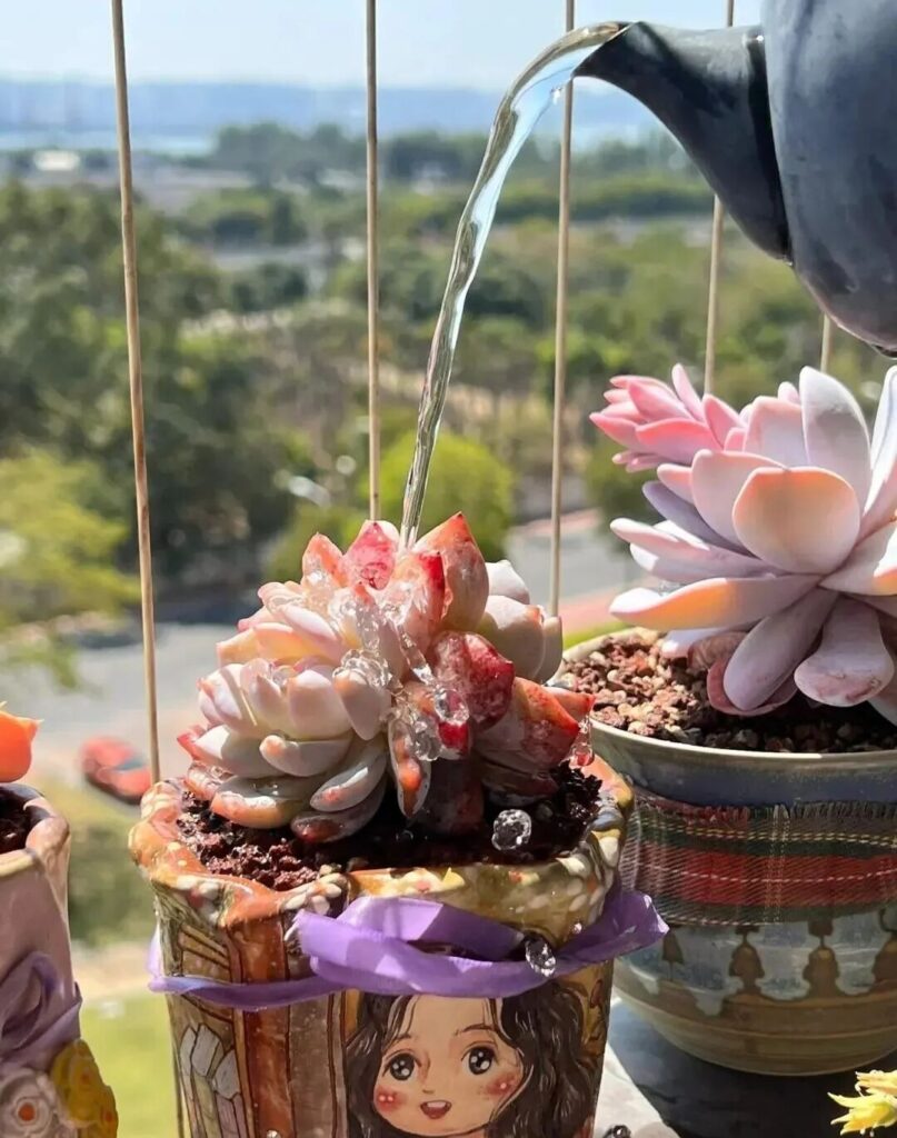 7 succulent care mistakes to avoid for healthy plants