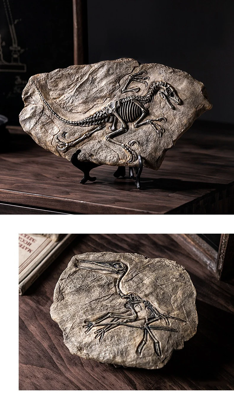 Vintage Dinosaur Fossil Skeleton Model Desk Decor Dinosaur and pterosaur fossil models displayed on a wooden desk