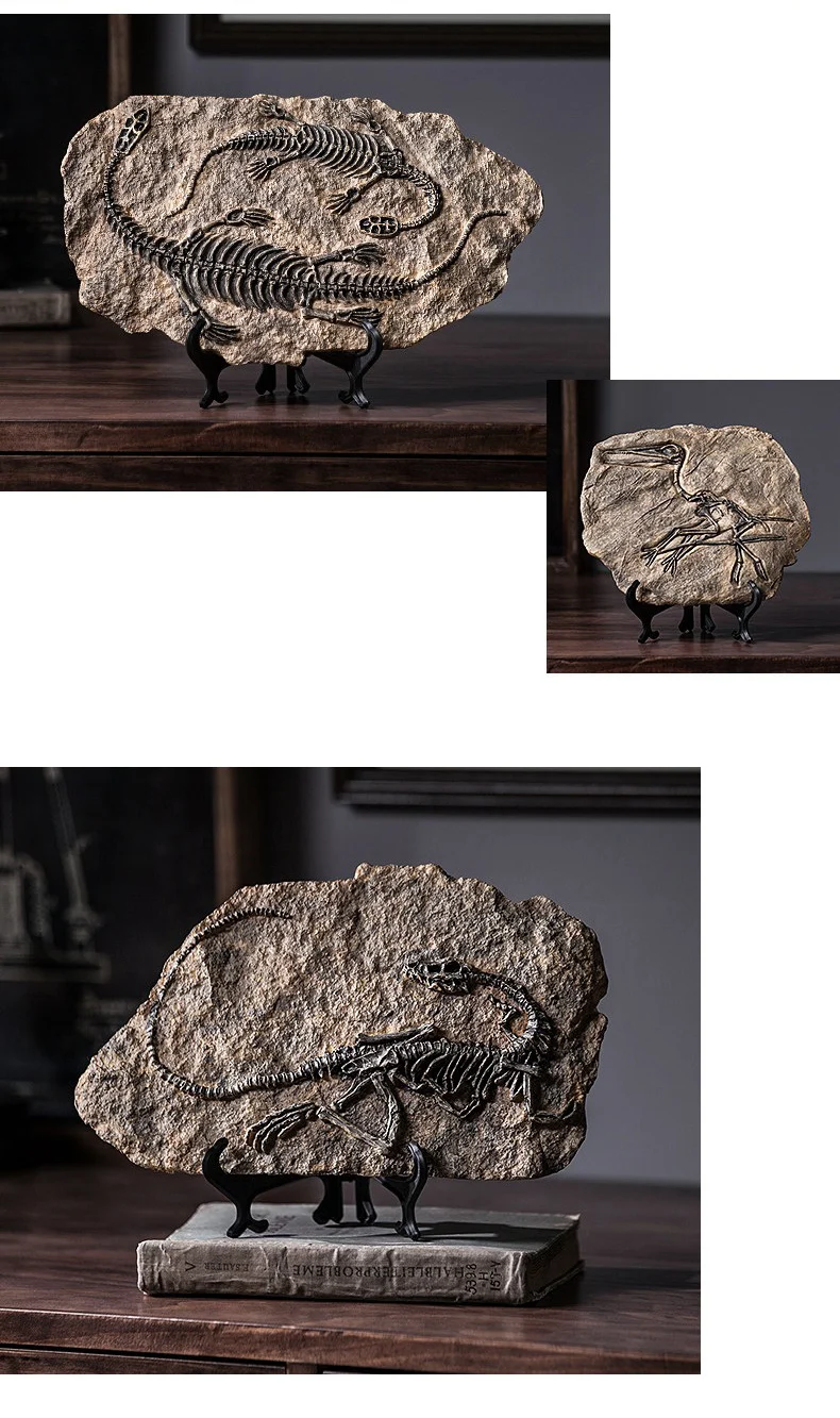 Vintage Dinosaur Fossil Skeleton Model Desk Decor Double dinosaur fossil model and a pterosaur model