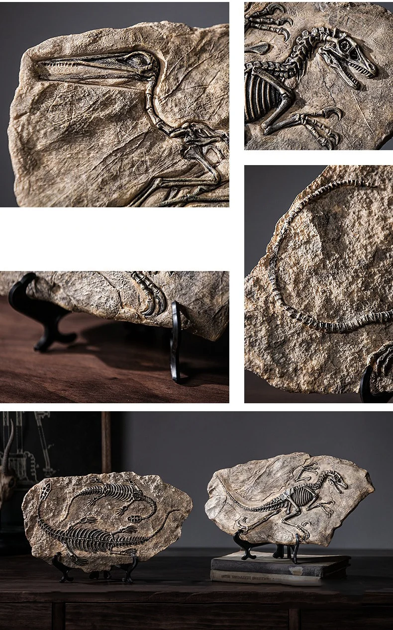 Vintage Dinosaur Fossil Skeleton Model Desk Decor Close-up details of dinosaur fossil skeleton models