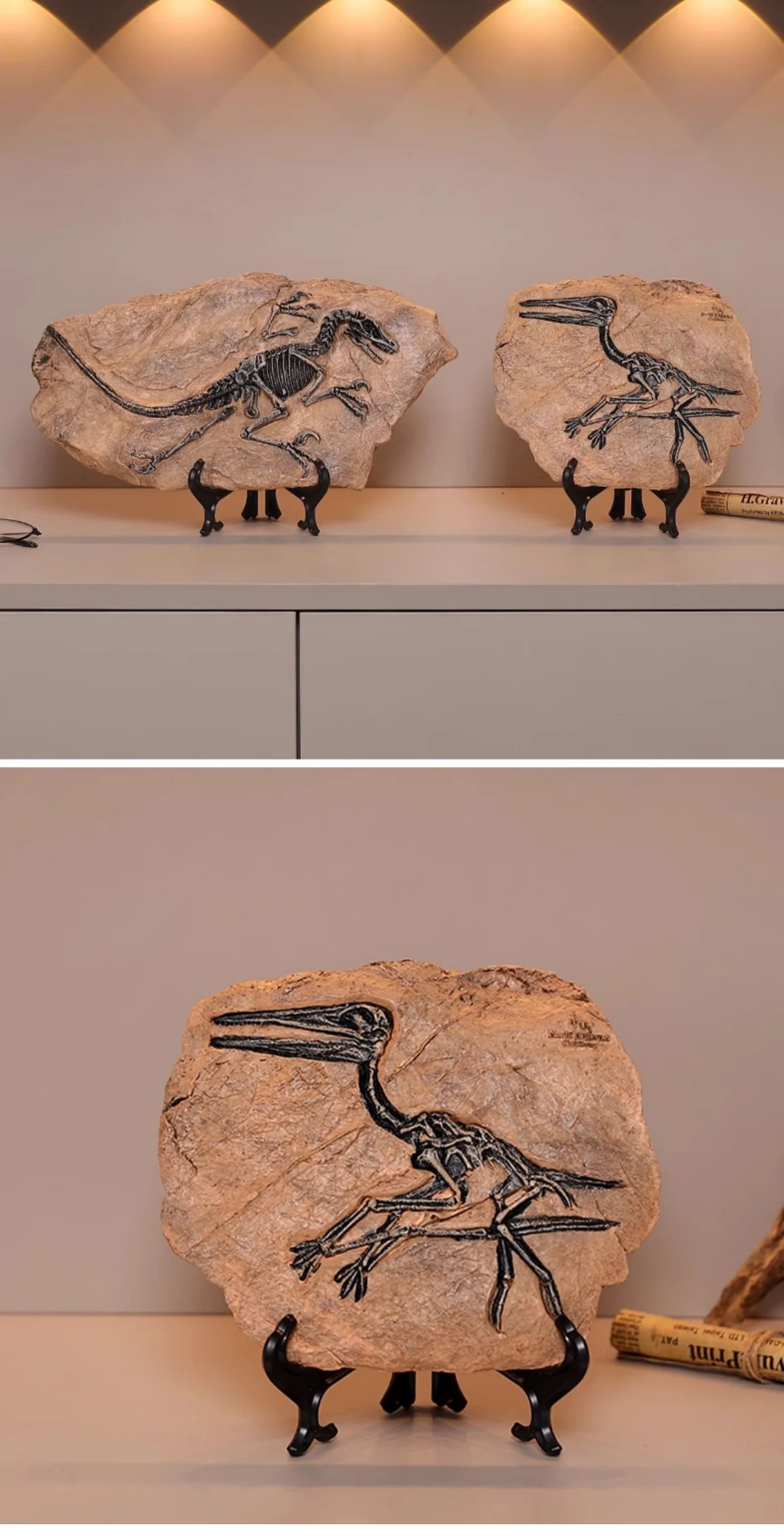Realistic Dinosaur Fossil Skeleton Replica Desktop Decor Two dinosaur fossil replicas displayed on a white cabinet