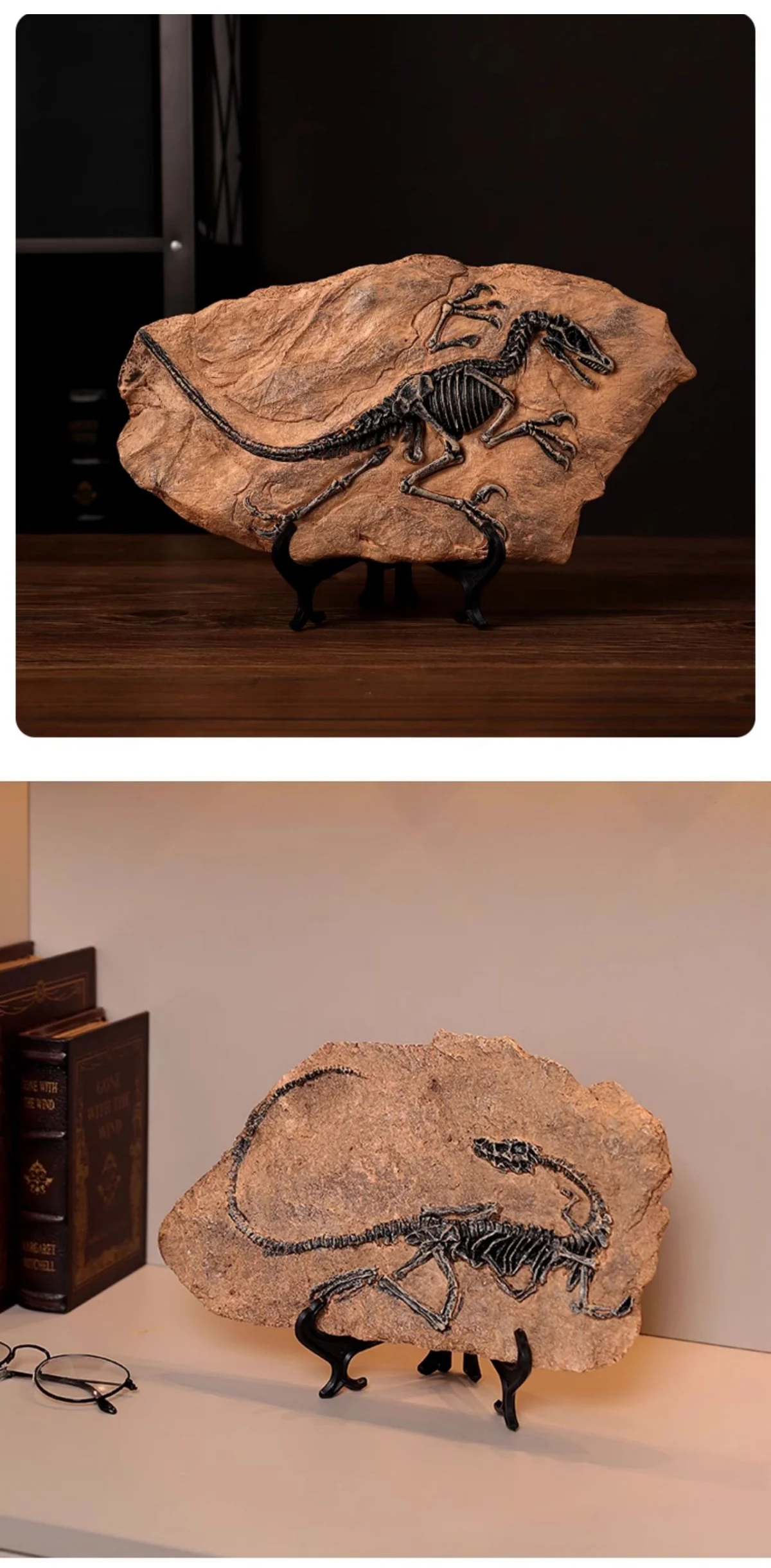 Realistic Dinosaur Fossil Skeleton Replica Desktop Decor Raptor fossil replica on a wooden table and near books