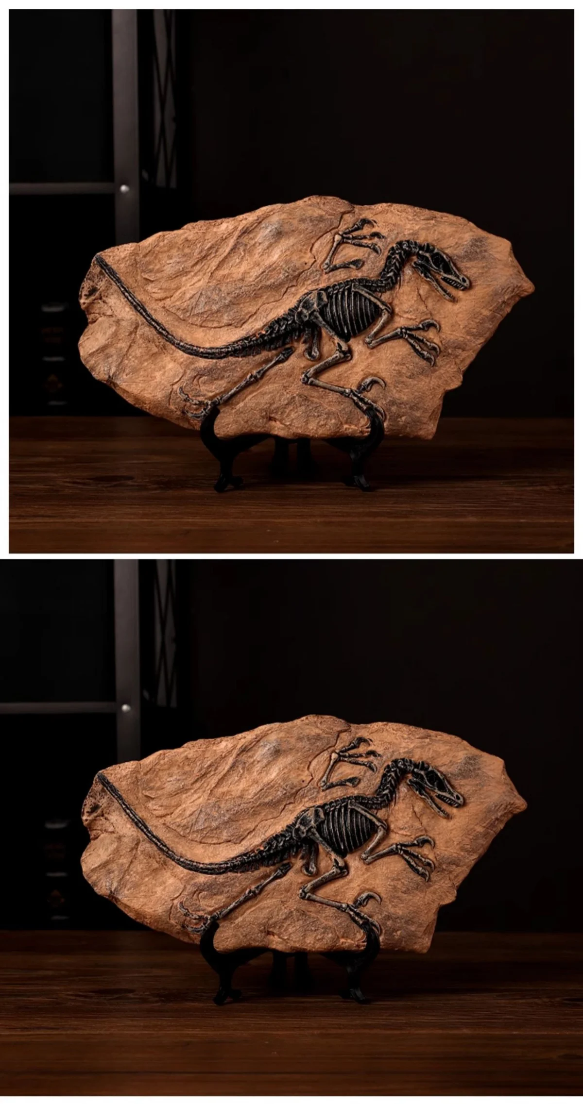 Realistic Dinosaur Fossil Skeleton Replica Desktop Decor Two views of a dinosaur fossil skeleton ornament
