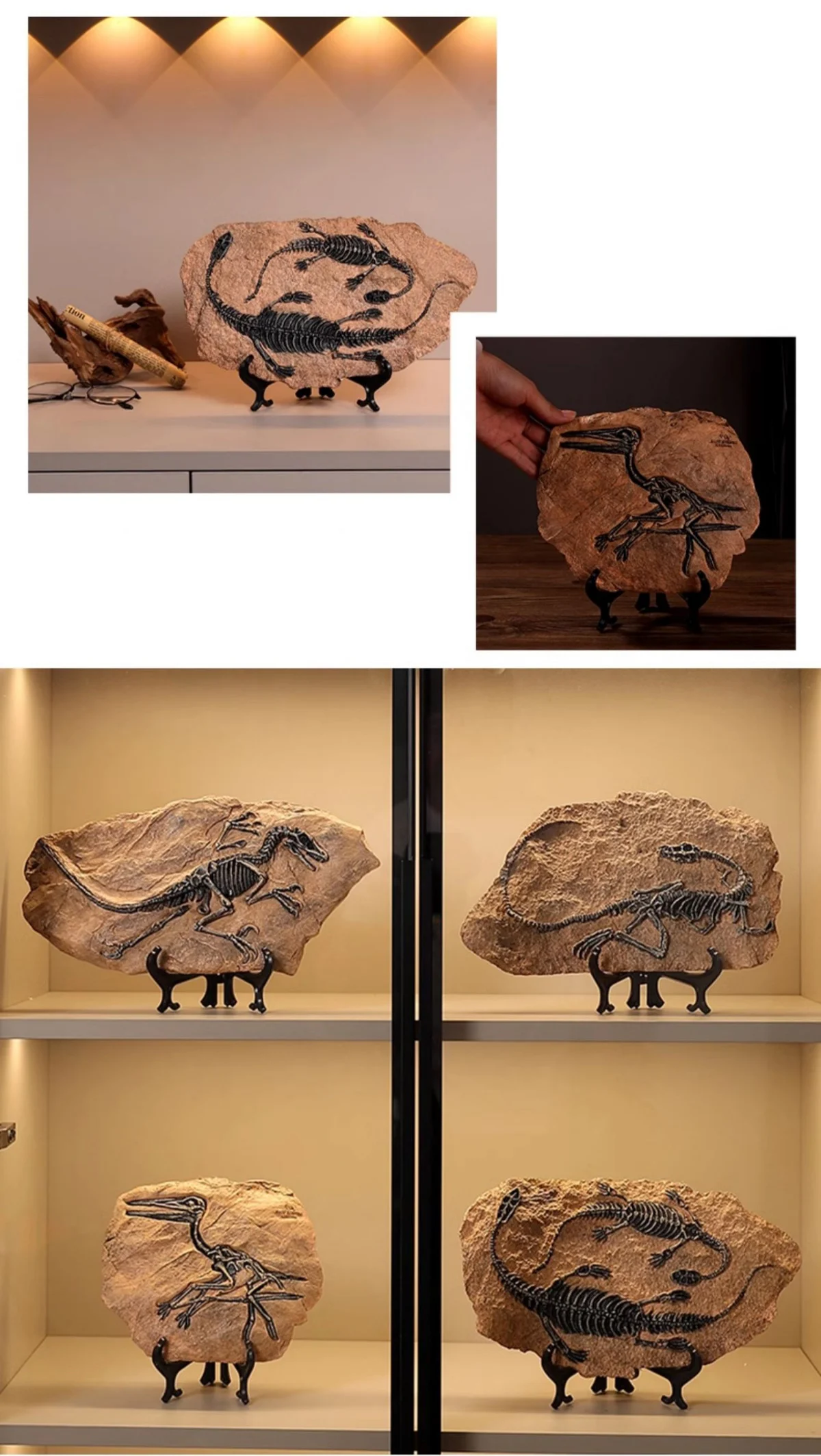 Realistic Dinosaur Fossil Skeleton Replica Desktop Decor Dinosaur fossil replicas displayed on a cabinet and in a showcase