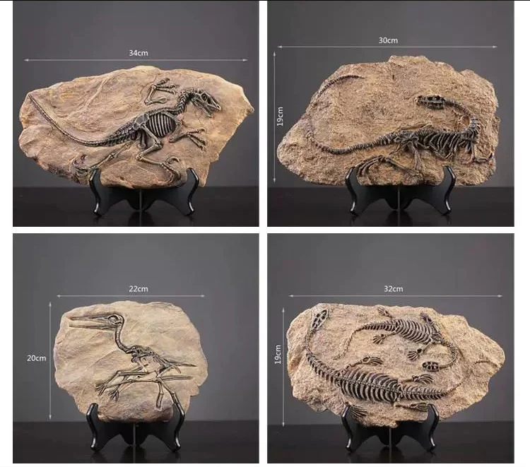 Vintage Resin Dinosaur Fossil Statue Decor Four different dinosaur fossil statues with dimensions