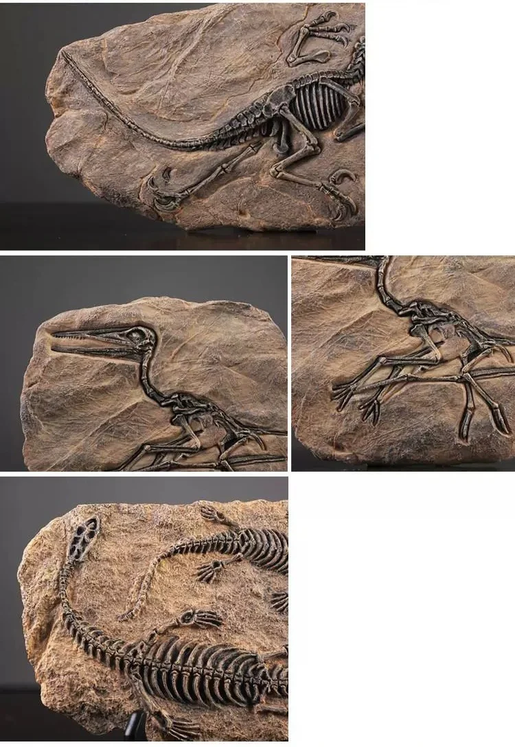 Vintage Resin Dinosaur Fossil Statue Decor Collage of close-up details of various dinosaur fossil statues