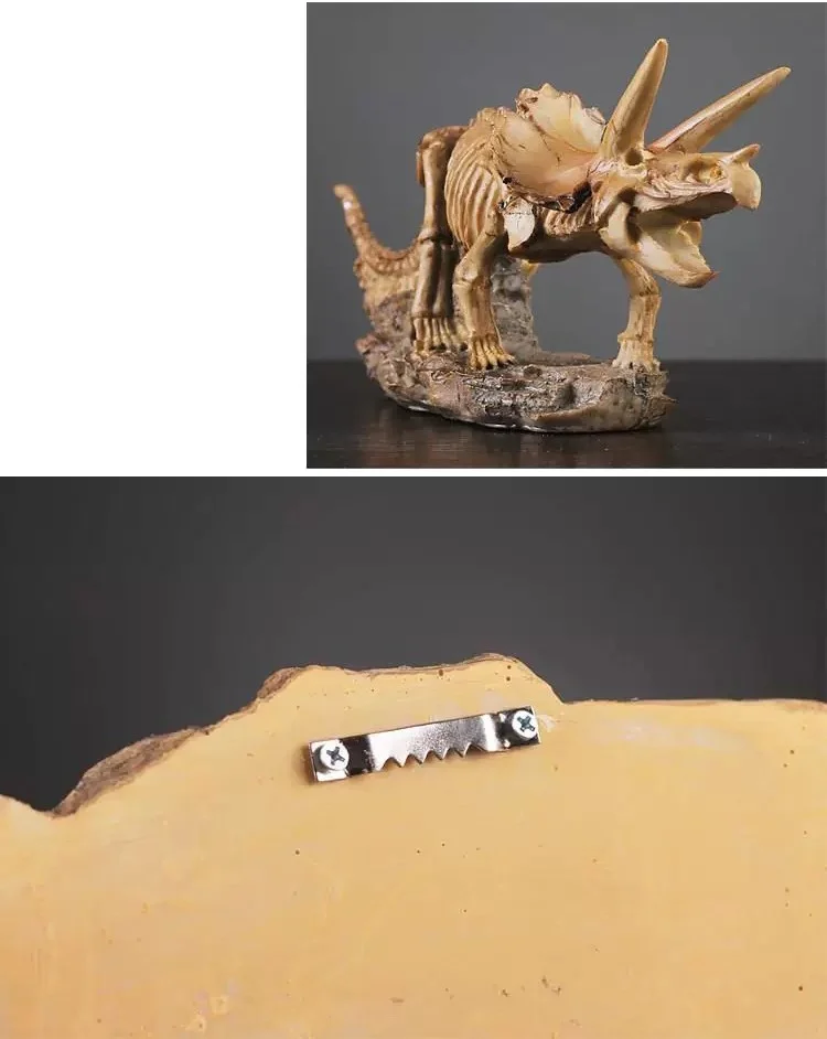 Vintage Resin Dinosaur Fossil Statue Decor Triceratops skeleton model and back view of a fossil statue with hanging hook