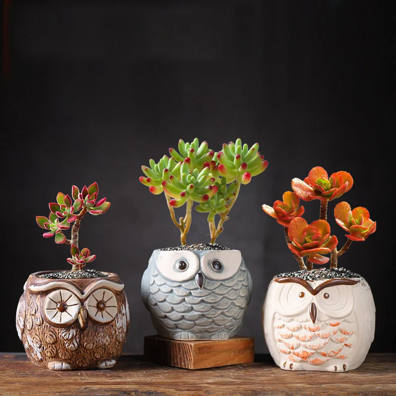 detail owl ceramic planter 02