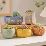 Creative Ceramic Succulent Planter Pots with Quotes