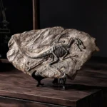 Vintage Dinosaur Fossil Skeleton Model Desk Decor