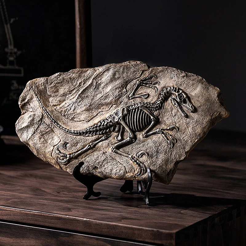 main dinosaur fossil model 01 Vintage dinosaur fossil skeleton model displayed on a black stand