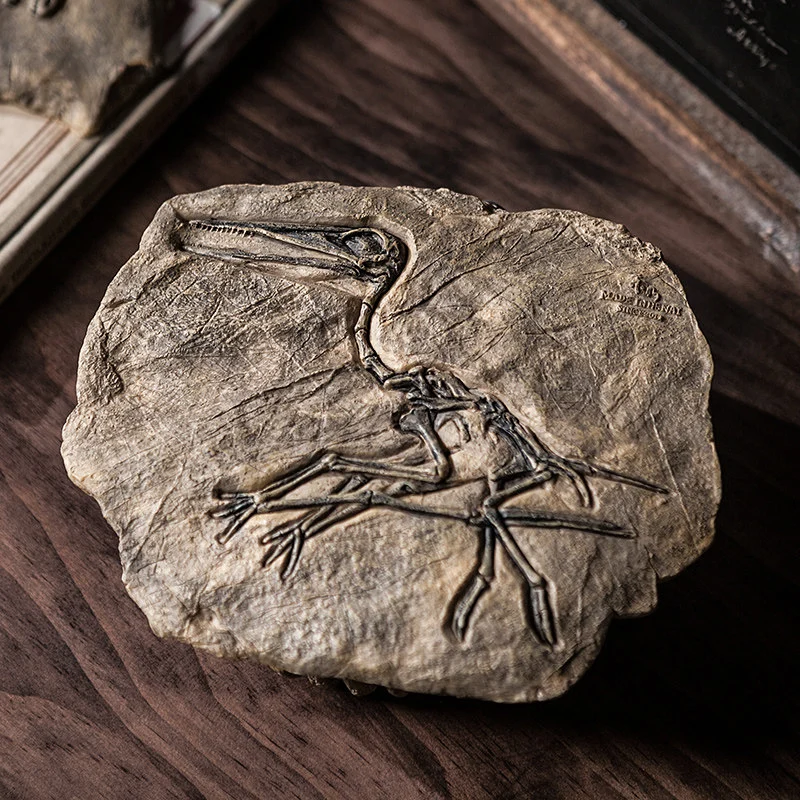 main dinosaur fossil model 02 Pterosaur fossil skeleton model with realistic rock texture