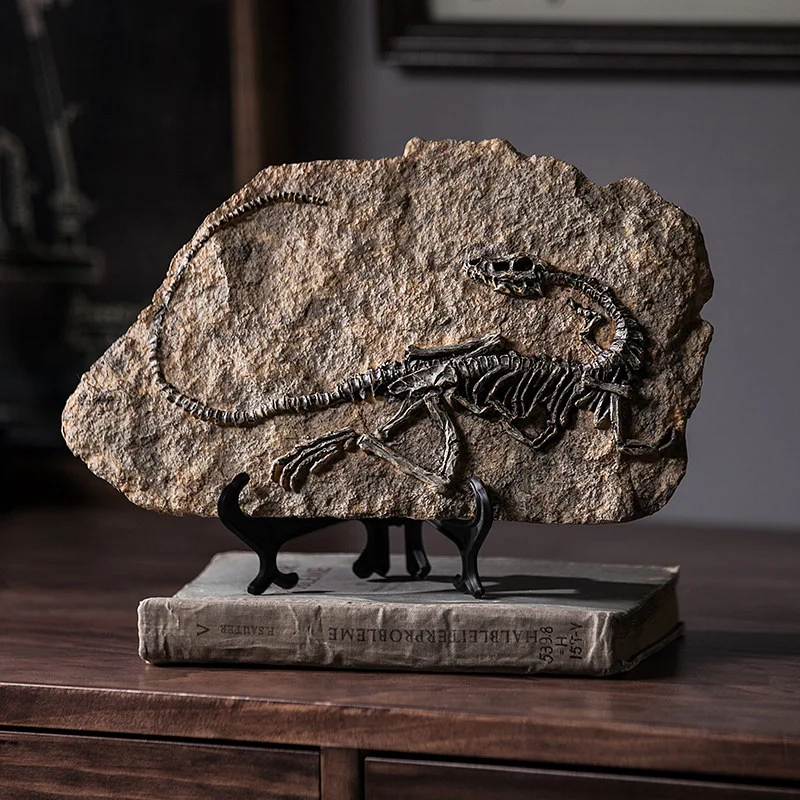 main dinosaur fossil model 03 Dinosaur fossil model on a stand placed on an old book