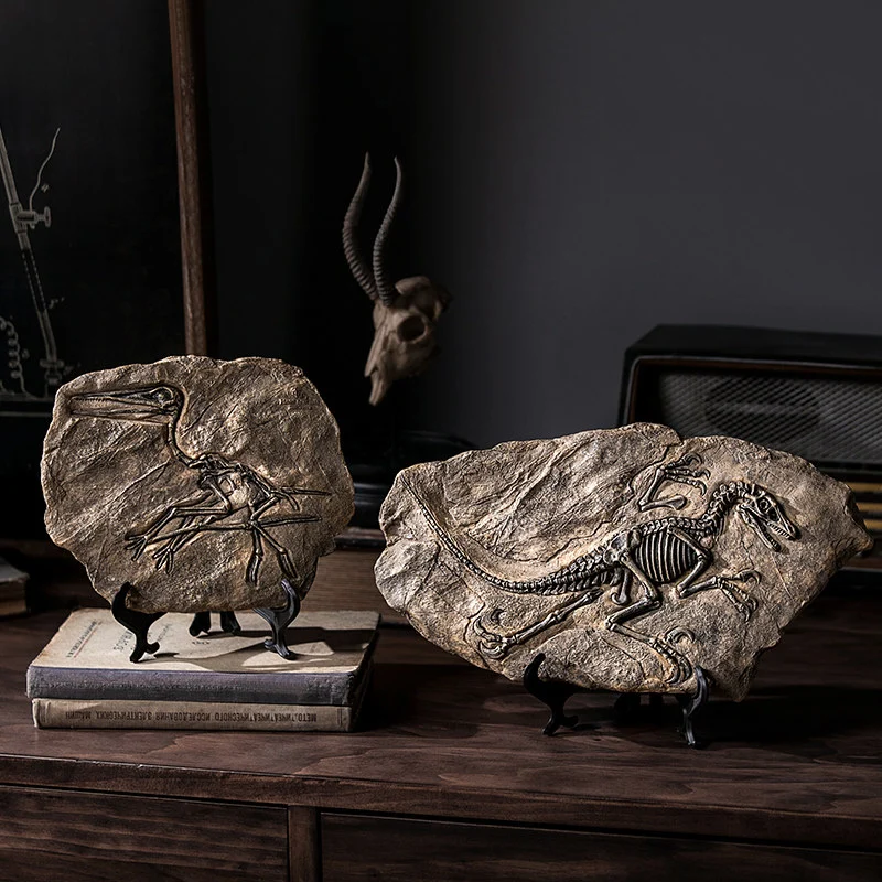 main dinosaur fossil model 04 Two different dinosaur fossil skeleton models displayed together