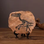 Realistic Dinosaur Fossil Skeleton Replica Desktop Decor