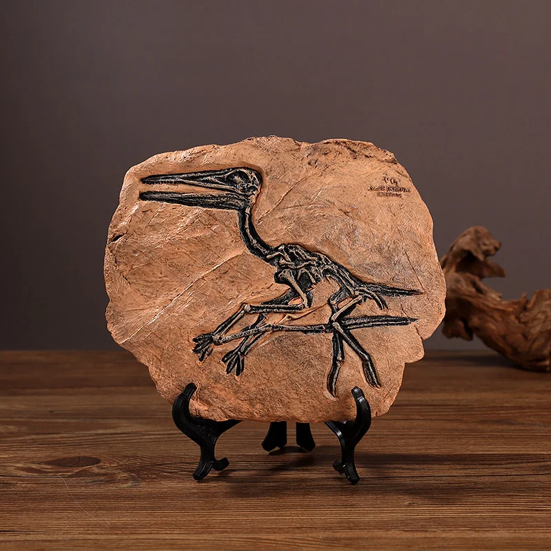 main dinosaur fossil replica 01 Pterosaur fossil replica on a black display stand