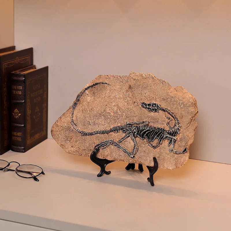 main dinosaur fossil replica 02 Dinosaur fossil skeleton replica displayed next to books