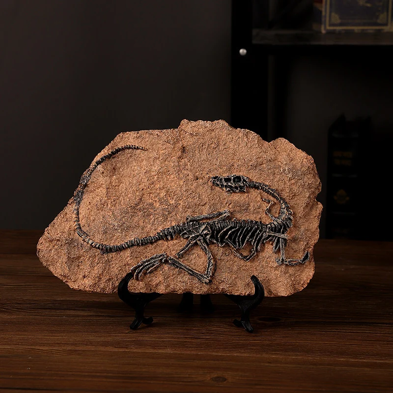 main dinosaur fossil replica 05 Dinosaur skeleton fossil ornament on a display stand