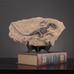 Vintage dinosaur fossil statue displayed on a black stand over a book