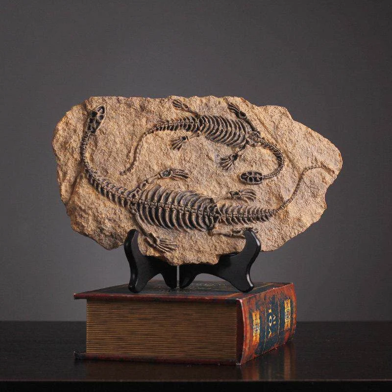 main dinosaur fossil statue 02 Two dinosaur skeletons fossil replica on a black stand