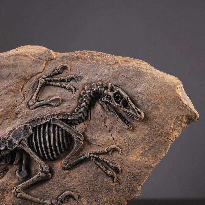 main dinosaur fossil statue 03 Close-up of a dinosaur fossil statue showing skull and rib details