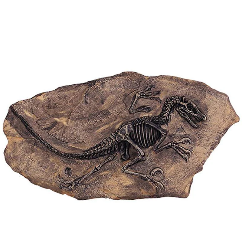 main dinosaur fossil statue 05 Dinosaur fossil statue without stand on a white background