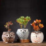 Creative Owl Ceramic Succulent Planter Pot
