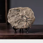 Pterosaur Fossil Decor
