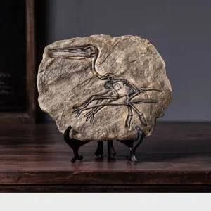 Pterosaur Fossil Decor