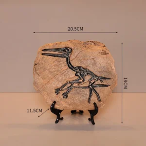 Pterosaur Fossil Replica