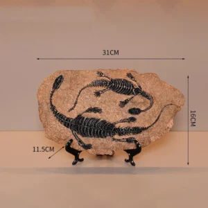 Ornithomimus Fossil Replica