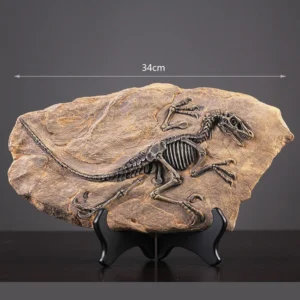 Velociraptor Fossil Decor