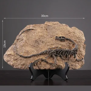 Theropod Fossil Decor