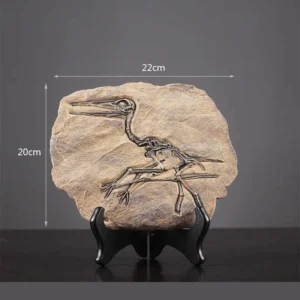 Pterosaur Fossil Decor