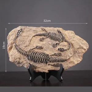 Double Dinosaur Fossil Decor