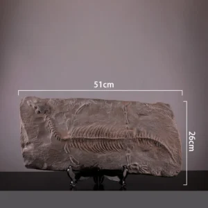 Plesiosaur Fossil Decor