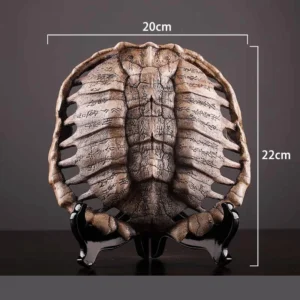 Oracle Turtle Shell Decor