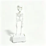 SKU Skeleton Aquarium Decor 01 150x150