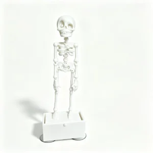 White Skeleton