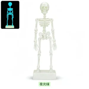 Luminous Green Skeleton