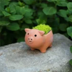 Pig Terracotta Planter