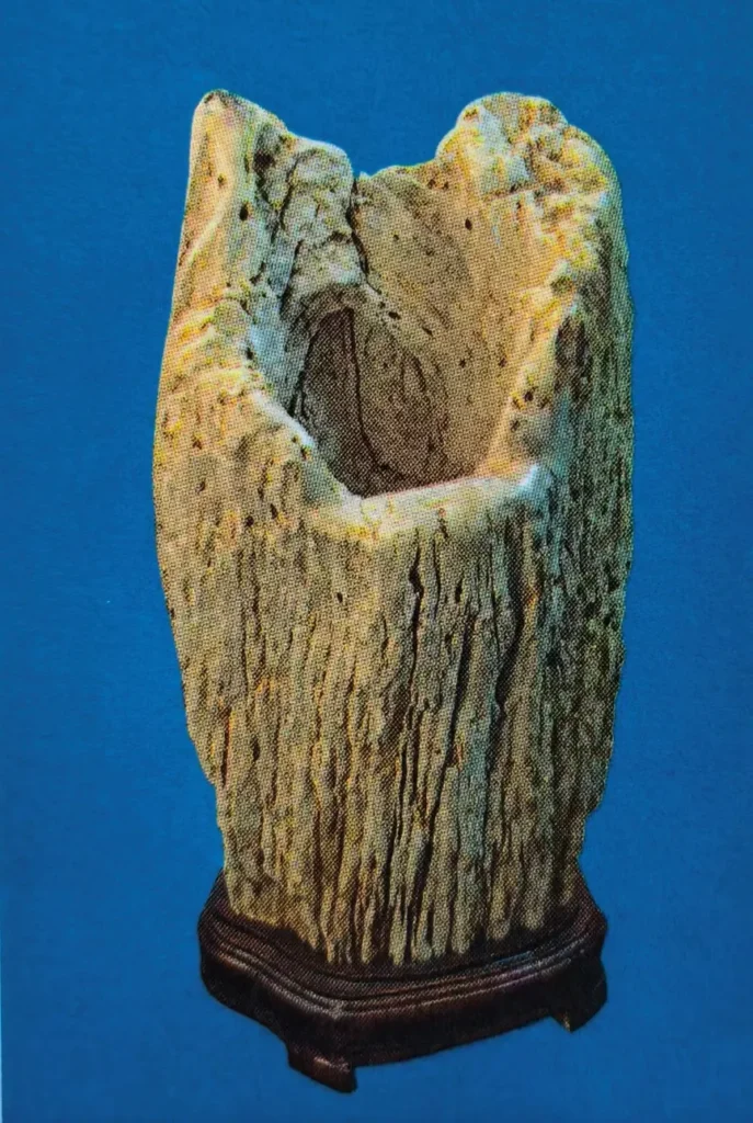 Hollow piece of petrified wood mounted on wooden stand