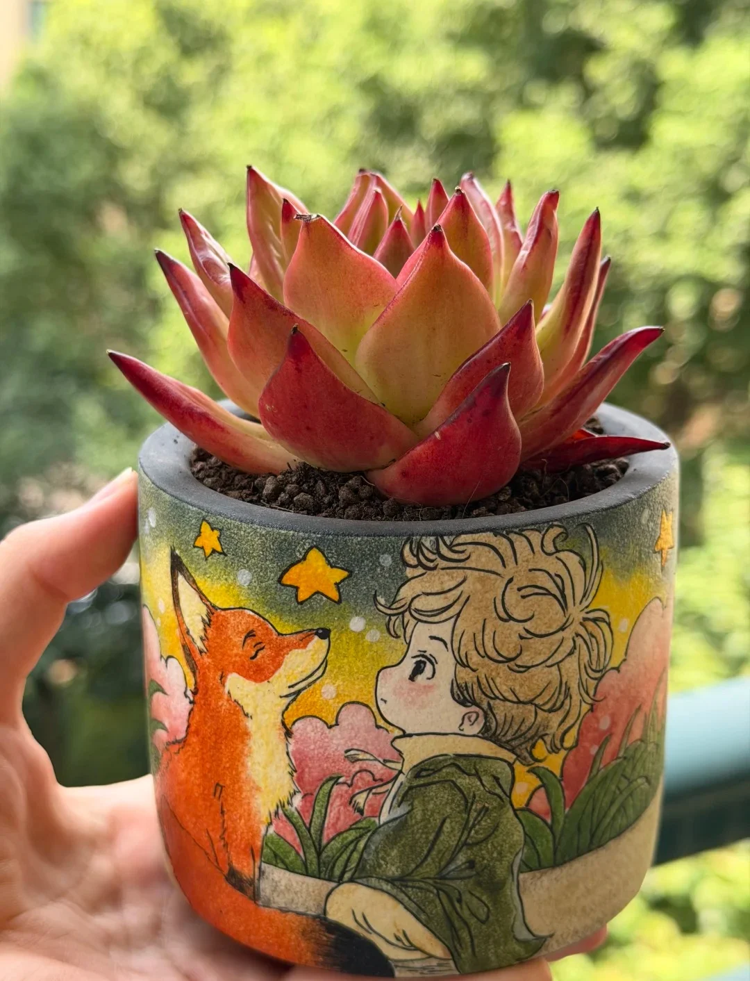 Main Balcony Succulent Garden 03