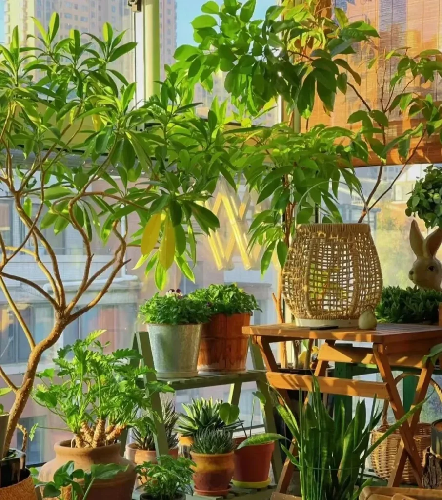 how to choose the right plant pots: a guide for beginners