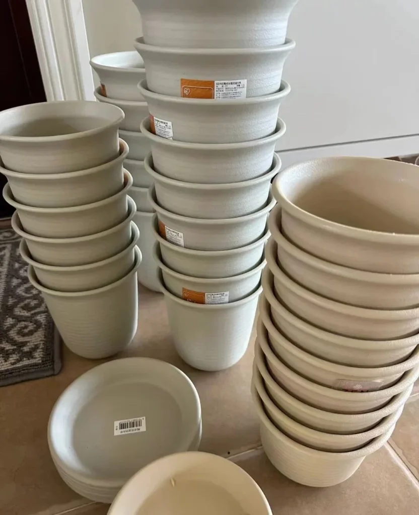 how to choose the right plant pots: a guide for beginners