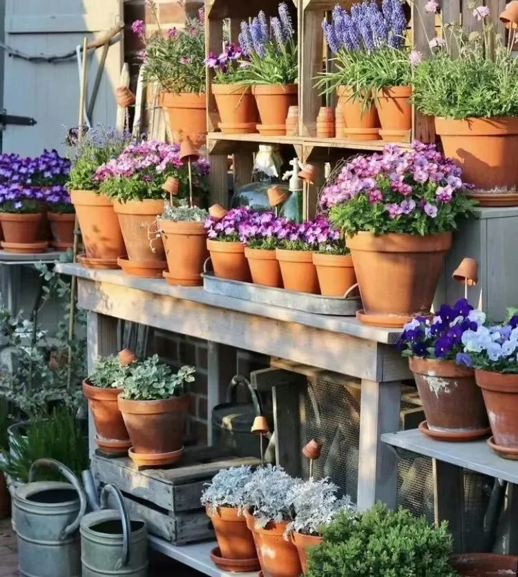 how to choose the right plant pots: a guide for beginners