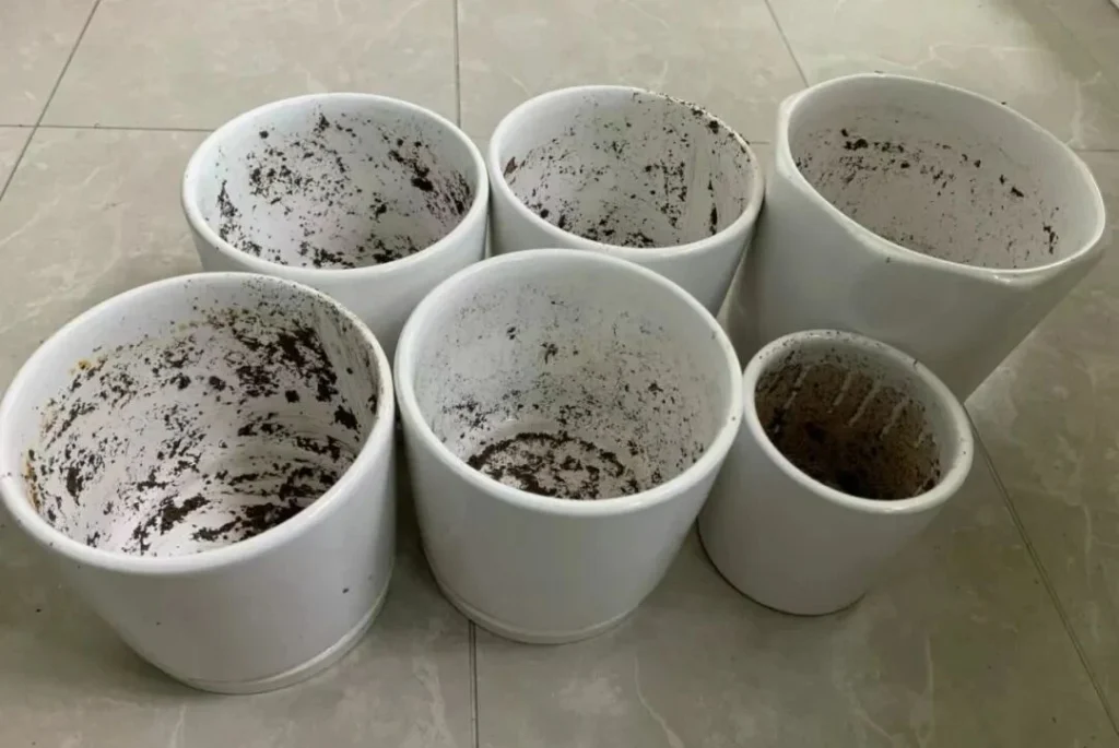 how to choose the right plant pots: a guide for beginners